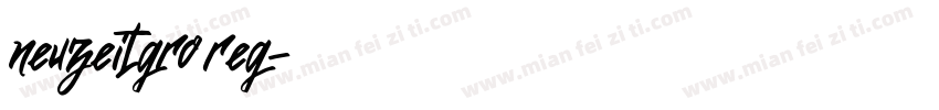 neuzeitgro reg字体转换